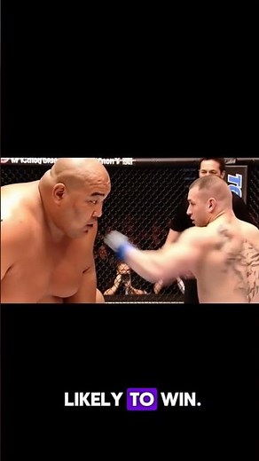 Sumo vs Mma? 🤔 Who would win ?