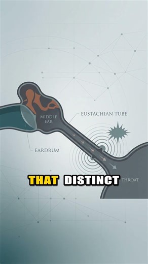 The science of ear pressure