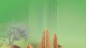 The younger generations are consuming news differently. blinx is determined to ensure they are at the forefront of this storytelling shift. Dedicated to empowering the next generation in the Middle East with elevated storytelling and trusted news, Blinx delivers vibrant, authentic digital stories - enabled by cutting-edge Vizrt tools. With engaging virtual sets and overlay graphics powered by #VizEngine and #VizPilotEdge, and production and automation controlled using #VizMosart and the iconic #