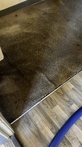 Deep carpet cleaning 🧹 | Real Steamer