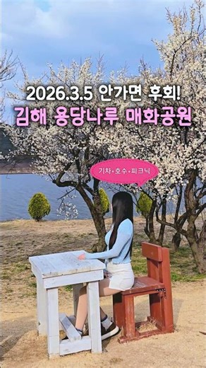 안가면 후회하능 실시간 낙동강+산+기차 뷰로 즐기는 피크닉&매화 명소🚄🌸 #김해 #매화명소 #용당나루매화공원 #매화명소 #경남매화명소 #김해가볼만한곳 #봄여행 #국내여행