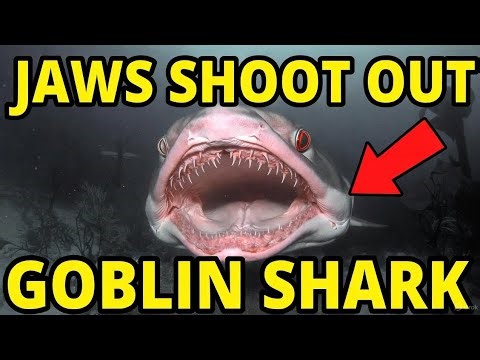 The Goblin Shark That Will Haunt Your Dreams | 6 Insane Facts