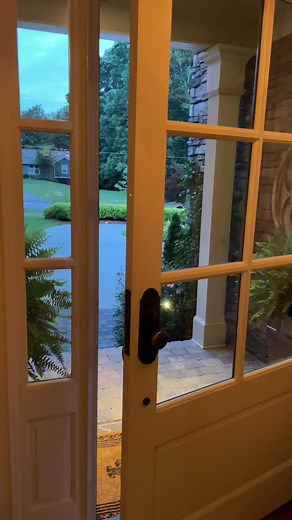 Exploring a Serene Linear Garden | Garden Walkthrough