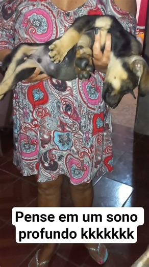 1 de janeiro de 2026