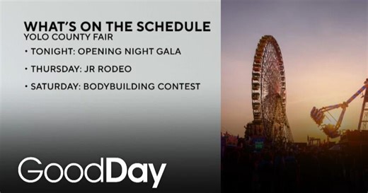 Sakura Checks Out the Yolo County Fair