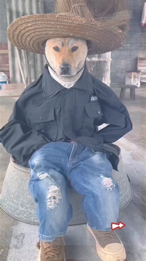 9.8K views · 126 reactions | 藍藍 | Viral Clips | Facebook