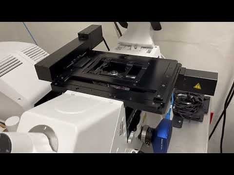3 Basic microscope controls focusing and moving the stage