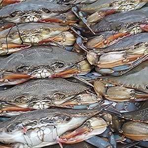 Maryland Soft Shell Crabs, Jumbo, Cleaned | 6 pc | Premium Gourmet Seafood | Fresh Crab | All Fresh