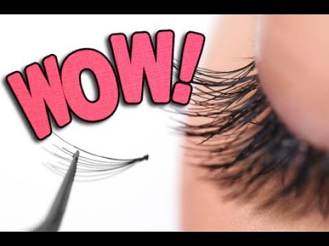 Wimpernverlängerungen alles was du über Extensions und Co wissen musst