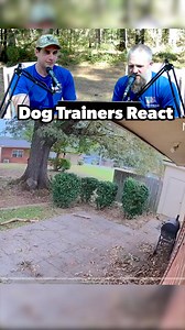 6.5K views · 32 reactions | This guy was BOOKING it  watch more dog trainers react on our YouTube channel! #dogs #dogtrainer #react #reaction #crazy | Canine Revolution Dog Training | Facebook