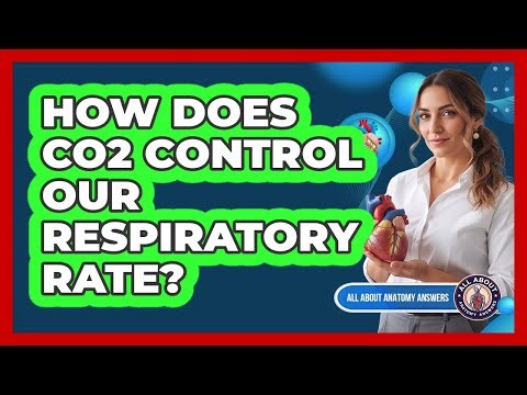 How Does CO2 Control Our Respiratory Rate?