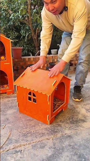 “Healthy Hens Farming Guide for High Egg Production and Modern Poultry Management”##19 November 2025