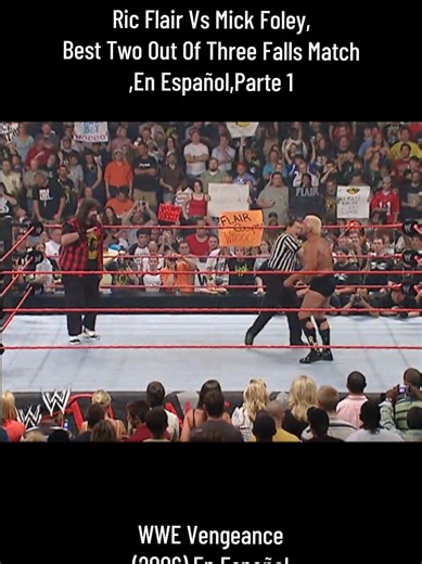 Ric Flair Vs Mick Foley: Best Two Out Of Three Falls Match