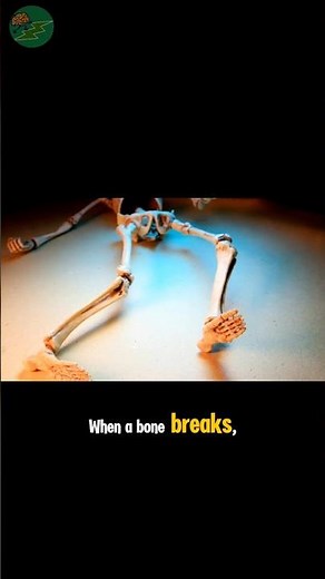 Fracture to Full Recovery|Healing process #BoneHealing #medicalanimation