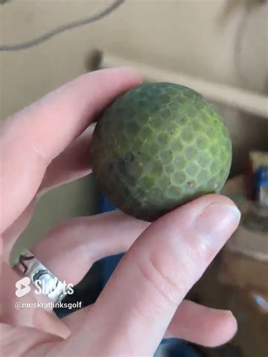 Cleaning the World's Dirtiest and Most Cursed Golf Balls 3! #golf #golftok #cleaning #satisfying #golftiktok #foryou