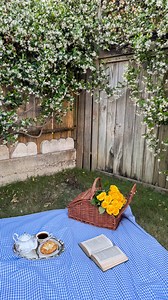 3.7M views · 57K reactions | We’ve had the most beautiful week in Galveston! I can’t wait to start getting my garden ready for spring! I posted this video a while back and you guys had so many questions!! I decided to add a few things to know about star Jasmine at the very end this time around ☺️ #springday #springflowers #jasmineflower #climbingflowers #jasmineflowers #gardengoals #climbingroses #gardenideas #gardendesign | Rosie's Corner | Facebook