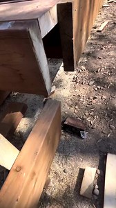 Why every chihuahua should learn a trade! 🤪 Chichi Charlie | Famous Chihuahua