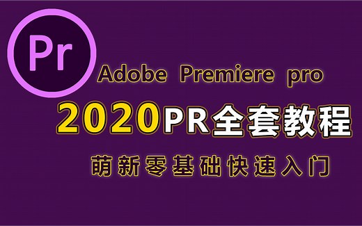 【PR教程】2020 Adobe Premiere Pro 萌新零基础快速入门PR全套教程，持续更新中！！！