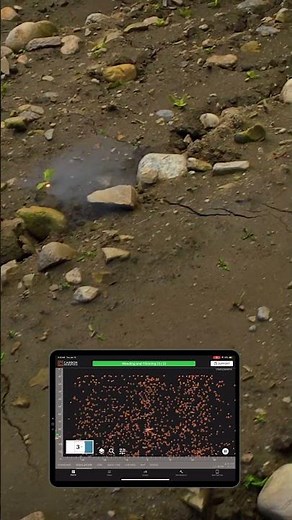 Laser Weeding and Thinning in Rocky Soil with LaserWeeder G2