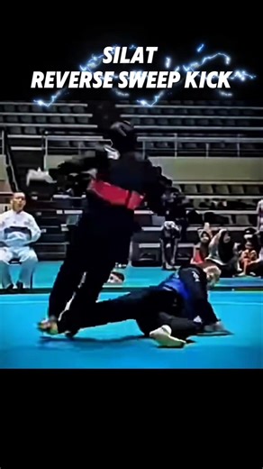 Silat Reverse Sweep Kick Tutorial #martialarts #shorts