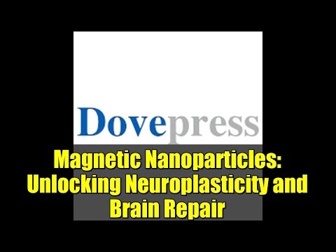 Magnetic Nanoparticles: Unlocking Neuroplasticity and Brain Repair
