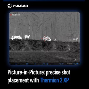 230 reactions · 57 comments | With Thermion 2 XP, you can be sure to always have a clear view on your target. With Picture-in-Picture mode, you'll get a magnified image at the top-center of your display, taking up 10% of the overall field of view and allowing precise shot placement. Get more information about Thermion 2 XP: bit.ly/thermion2 #Pulsarvision | Pulsar | Facebook