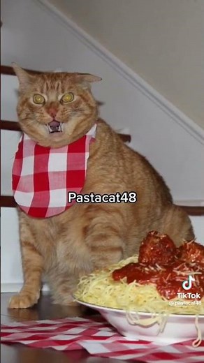 pAsTa CaT 48