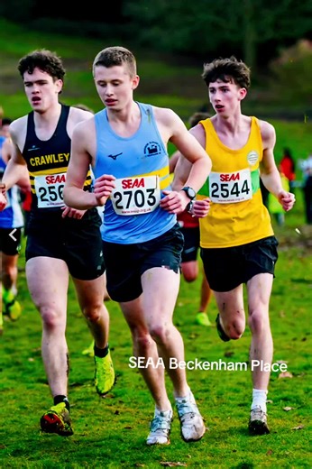Cross Country Running Tips for Schools