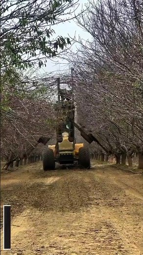 Tree Shaker in Action: Enhancing Orchard Efficiency