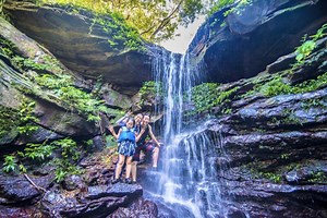 世界遺産西表島を手軽に体感！ジャングルトレッキング（No.27） | 西表島ツアーズ