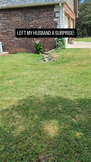 2.3K reactions · 37 shares | I left my husband a surprise haha. I ran out of time to get the snake out and I forgot to tell Kevin if I had gotten it out or not. You can watch his reaction by clicking on the link in the comments below to our YouTube video. #farm #snake #farmlife #reels #herping #reptile #snakes #reptiles #outdoors #wildlife #outdoors #oklahoma #nature #naturephotography #wildlifephotography #adventure #explore #surprise #lol | Hidden Heights Farm | Facebook