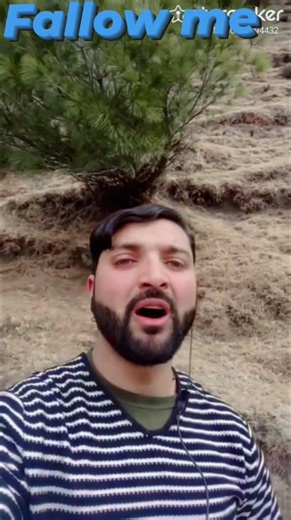 🌲🌲🌲🌲🌲🌲🌴🌴🌴🌴🌴🌴🌴🌴🌴🌴🌴🌴🌴