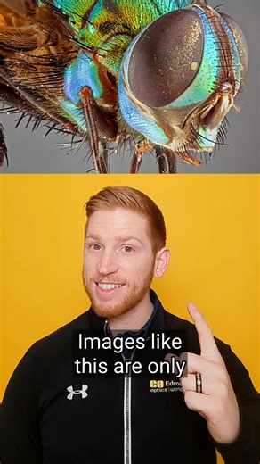 Extended depth of field results in some incredible photos! Learn how Infinity Photo-Optical's lenses achieve this #photography #optics #stem #science #camera #microscope #learnontiktok #scienceismagic #foryoupage #foryou #fyp