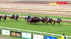 5.2K views · 56 reactions | "Still fighting Mystery Love, she's brave, she's kicking!" Mystery Love remains unbeaten, taking out the Bendigo Guineas. | Racing.com | Facebook