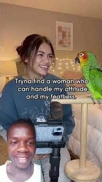 The Bizarre Trend of Parrots Getting Married