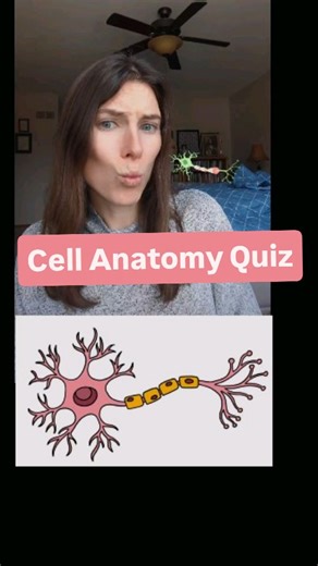 My Anatomy Teacher on Instagram: "Can you ace this cell anatomy quiz? #Anatomy #AnatomyStudents #anatomyteacher #anatomyandphysiology #stem"