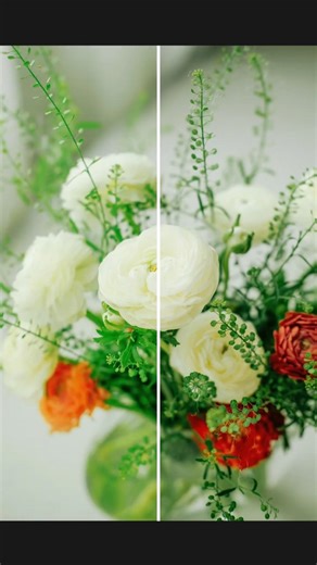 Color Enhancement Tips in Photoshop