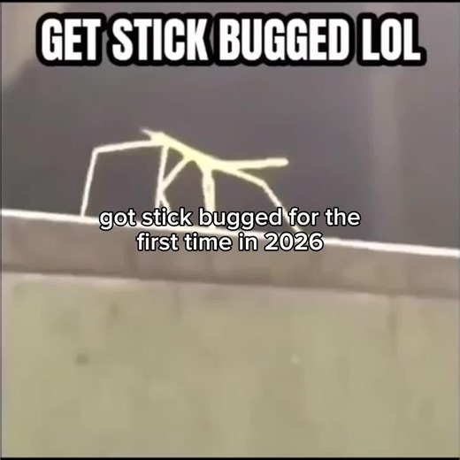 The Great Meme Reset: Exploring Rickroll Culture