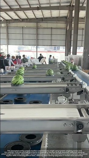 Automated Watermelon Weight Grading System in Action