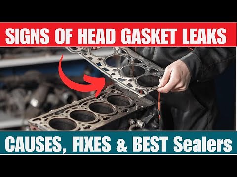 Signs of a leaky head gasket(Causes/ Fix) Blown head gasket symptoms&Head Gasket Sealers