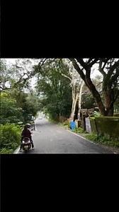 Scooty Ride on the Roads of Mount Abu.Amazing sight scenes.#nature#explore#ytshorts#travel#rajasthan