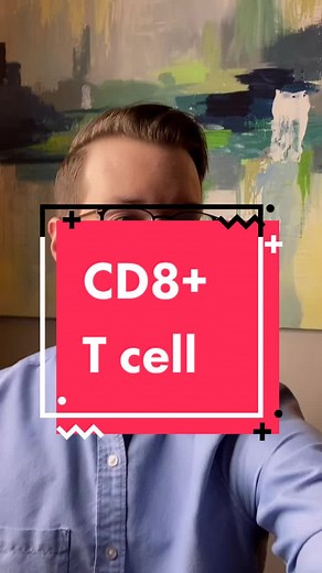 CD8 T Cells: Recognizing and Killing Infected Human Cells