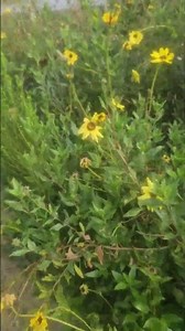 Unbelievable Results in Social Media Experiment #9 #ViralTrends #SocialMediaMagic