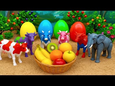 AMAZING 🤩 🐄 WALKING TOY COW, 🐄🐐 WADIDAU‼️PROSES POTONG SAPI CARTOON SIMOLASI @rmsapitoys