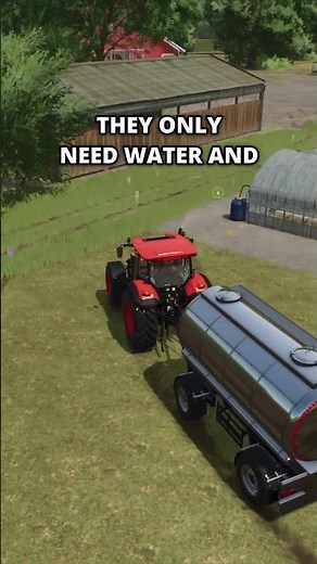 HOW TO MAKE MONEY in FS25 - tutorial for beginners