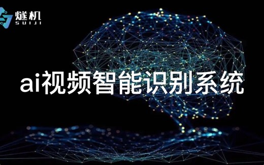 ai视频智能识别系统