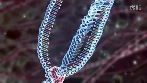 Microbial 3D Medical Animation 微生物3D医学动画（国外）