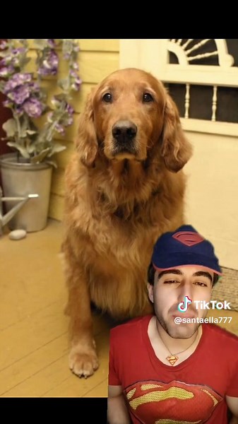 Descubre el mejor Krypto: Superman y su perro