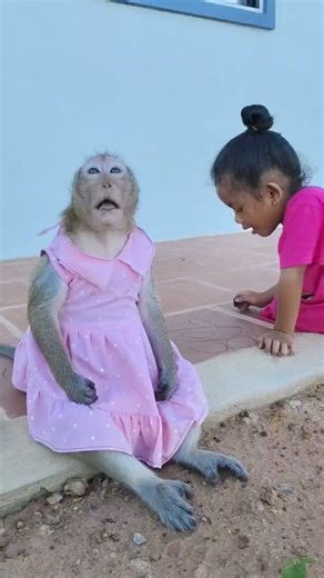 Cute speaking 🤩 | Monkey Shally