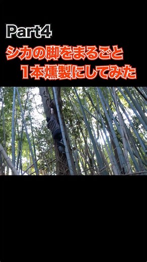 ちーとん。(Chieeton) YouTuber | Part4 シカの脚を丸ごと1本燻製にしてみた #ジビエ #ちーとん #シカ #鹿 #燻製 | Instagram